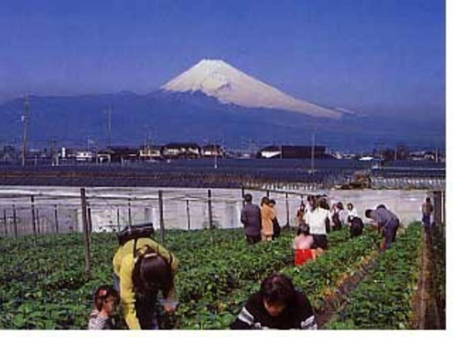 ゲストハウス+カフェわ　１日１組限定！ 築１００年の農家の古民家で宿泊体験、薪でお風呂沸かせます。焚き火もできます。 Kannami Kültér fotó